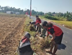 Babinsa Pattallassang Bersama Warga Gelar Karya Bakti Bersihkan Lingkungan