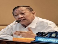 Hamka B. Kady Desak Reformasi Total Keselamatan Pelayaran: Jangan Lagi Andalkan Deklarasi Nahkoda
