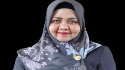 Dinkes Takalar Respons Catatan BPK soal Rp5,9 Miliar Solar Power System, Ternyata Ini Penjelasannya