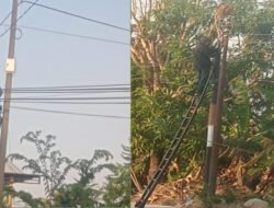 Kabel Wifi Disebut Semrawut di Pattallassang, Warga Pertanyakan Izin dan Dugaan “Bonus”