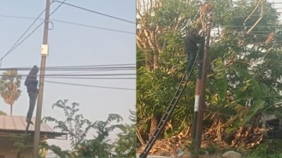 Kabel Wifi Disebut Semrawut di Pattallassang, Warga Pertanyakan Izin dan Dugaan “Bonus”