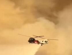 Jepang Kirim 600 Personel dan Tiga Helikopter untuk Bantu Padamkan Karhutla di Kalimantan