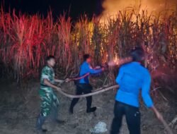 Babinsa Kodim 1426 Takalar Bersama Damkar Padamkan Kebakaran Lahan Tebu di Balangtanaya