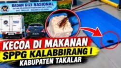 Polemik SPPG Kalabbirang 1 Belum Usai, Kini Muncul Dugaan Kecoa di Sekitar Makanan