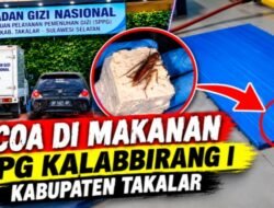 Polemik SPPG Kalabbirang 1 Belum Usai, Kini Muncul Dugaan Kecoa di Sekitar Makanan