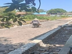 Paving Block dari Dana DAU 10 Hari Tanpa Papan Proyek, Lurah Pappa: “Papan Proyek masih di Tukang Cetak”