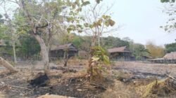 Diduga Aset KUD, Tanah 1.200 Meter Persegi di Takalar Bersertifikat atas Nama Pribadi