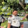 Panen Mangga di Lapas Takalar, Petugas dan Warga Binaan Nikmati Hasil Kebun Bersama