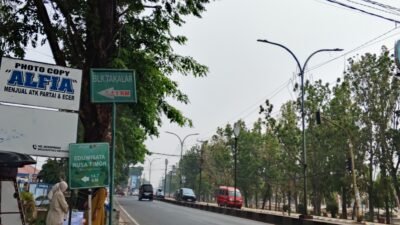 Kabut Asap Ganggu Warga Takalar, Dinkes Didesak Cek Dampak Kesehatan